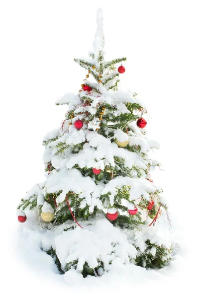 Árbol de Navidad decorado bajo nieve aislado sobre fondo blanco Fotos de stock libres de derechos