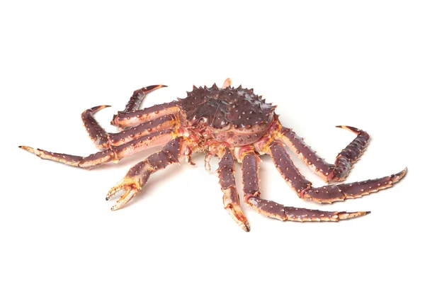 Crabe kamchatka cru isolé sur fond blanc — Photo