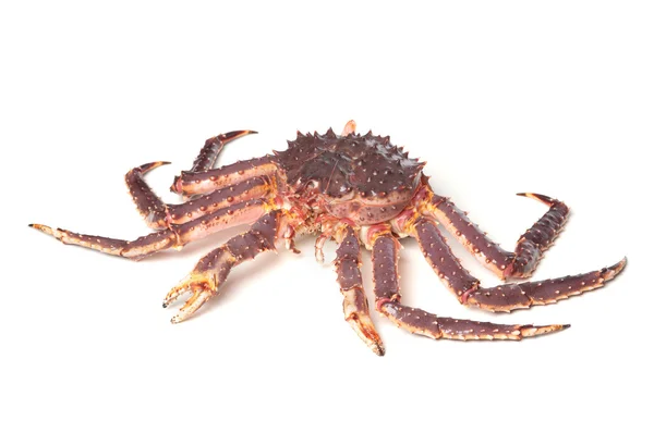 Crabe kamchatka cru isolé sur fond blanc Images De Stock Libres De Droits