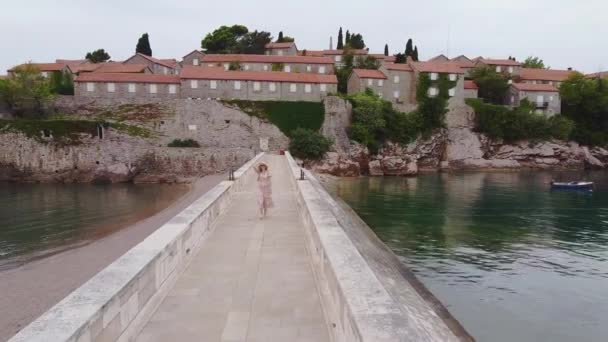 在令人惊奇的地方度假：快乐的金发女士在桥上散步 — 图库视频影像