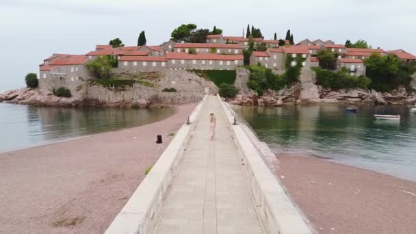 Vacations in amazing place: cheerful blonde lady walking on the bridge — Wideo stockowe