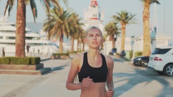 Pretty girl in gym outfit jogging on the street with palms trees in the background — Stock videók