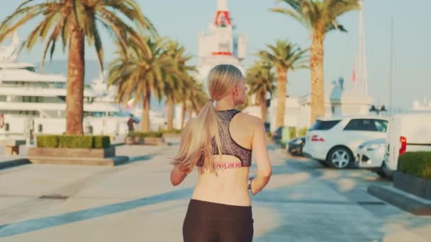 Blondýny žena s ocasem jogging podél uličky s palmami — Stock video
