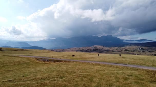 俯瞰广阔的田野和布满灰云的高山巨石 — 图库视频影像