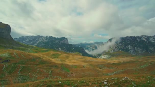 Vacker utsikt över fårhagar i bergen — Stockvideo