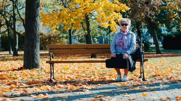 Бабуся сидить на лавці в прекрасному осінньому парку Стокове Фото