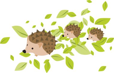 iki hadgehog bebek ile annesi kirpi