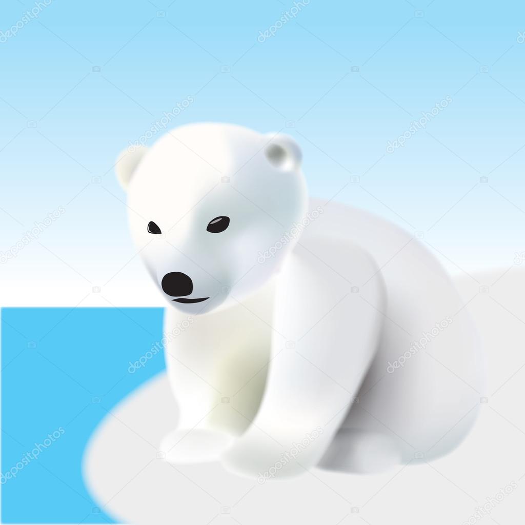Polar bear youngling on the iceberg