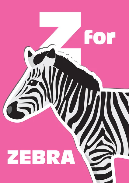 zebra, çocuklar için bir hayvan alfabe için z