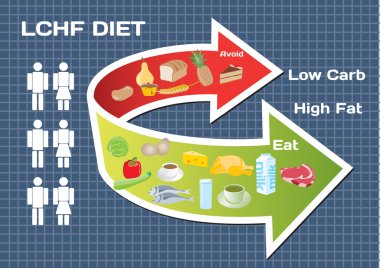 diyet düşük karbonhidrat, yüksek yağ (lchf) infografik