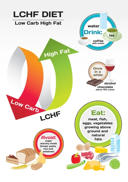 다이어트 저 탄 수화물 고 지방 (Lchf) infographic — 스톡 벡터