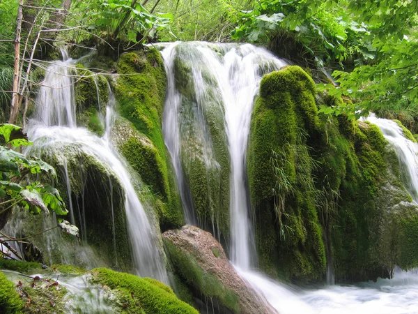 Wodospad w lesie - Chorwacja — Zdjęcie stockowe