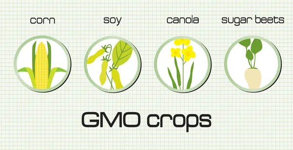 GMO crops, the most disseminated on the green background — Stock Vector