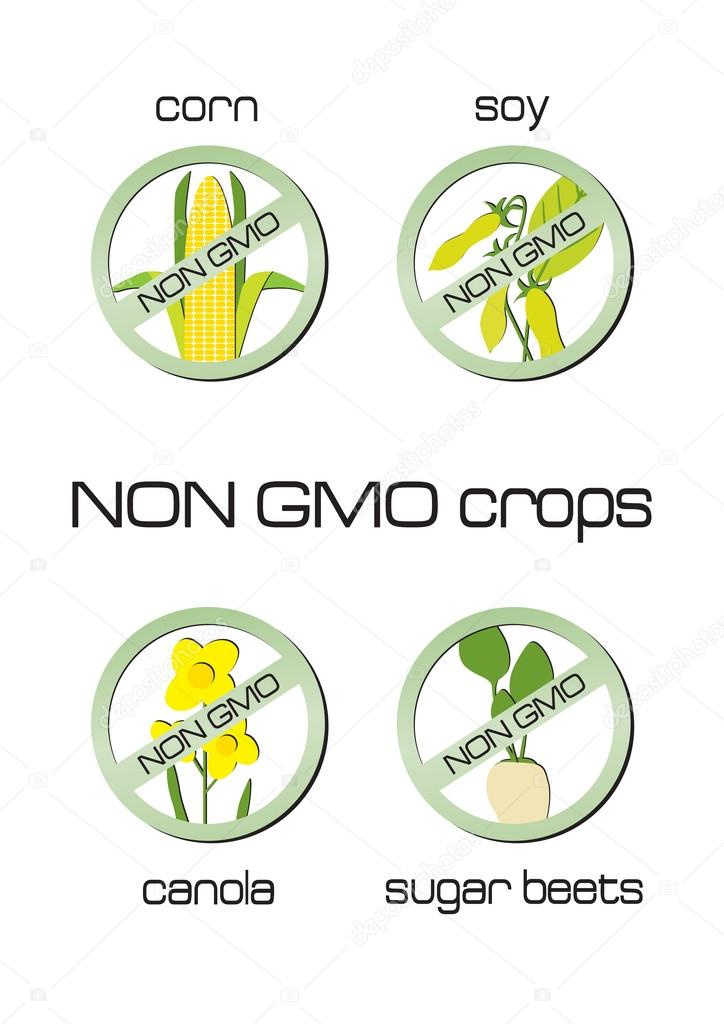 Non GMO crops set of signs for corn, soy, canola, sugar beets