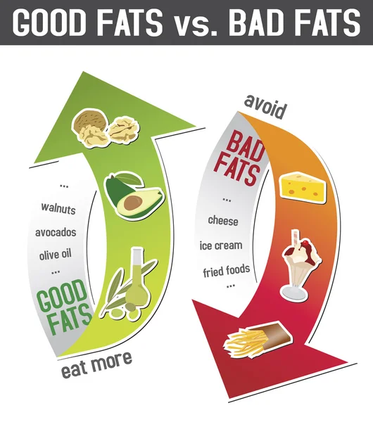 Good fats and bad fats, polyunsaturated and monounsaturated fats — Stockvector