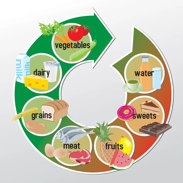 Infographic grupların gıda - sebze, süt ürünleri, tahıl, et,