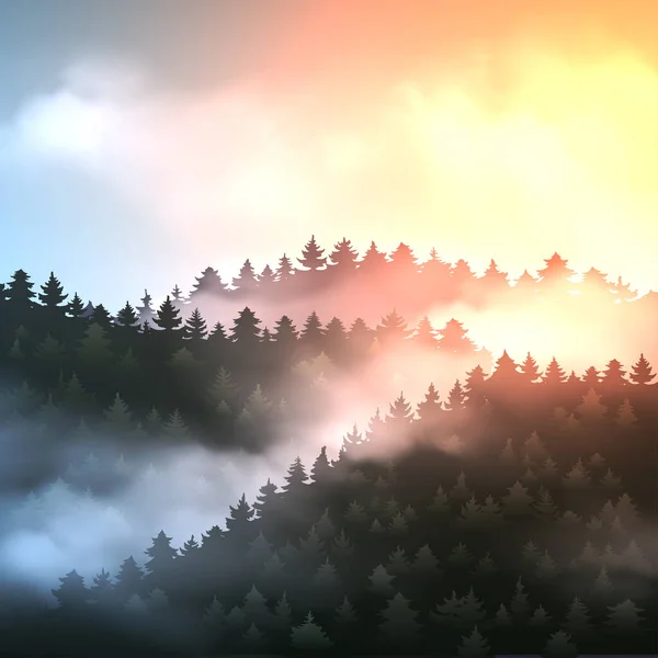 Bela Floresta Coníferas Com Nevoeiro Pôr Sol — Vetor de Stock