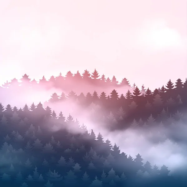 Belle Forêt Conifères Avec Brouillard Coucher Soleil — Image vectorielle