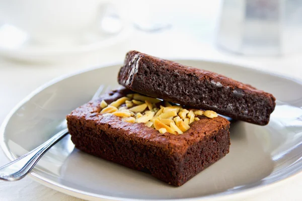 Brownie — Stock Photo, Image