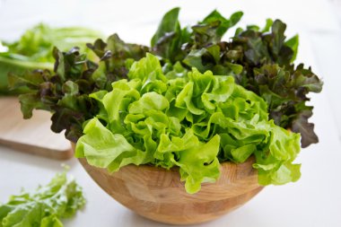 Kırmızı meşe ve yeşil meşe marul