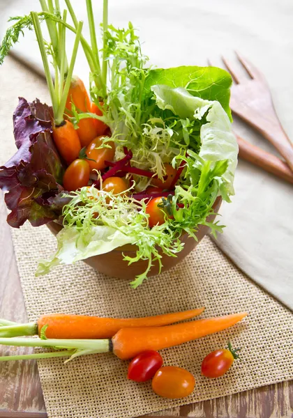 Gartensalatschüssel — Stockfoto