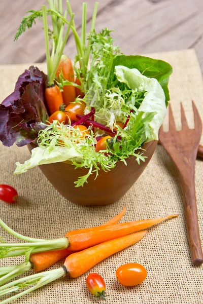 Garden salad bowl — Stock Photo, Image