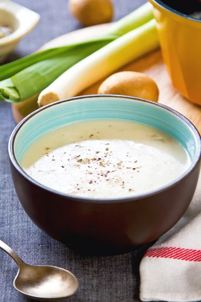 Sopa de alho-poró e batatas — Fotografia de Stock