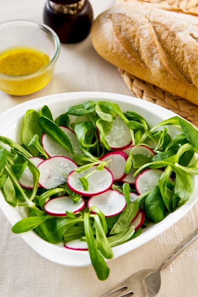 Radijs, veldsla salade met mosterd dressing — Stockfoto
