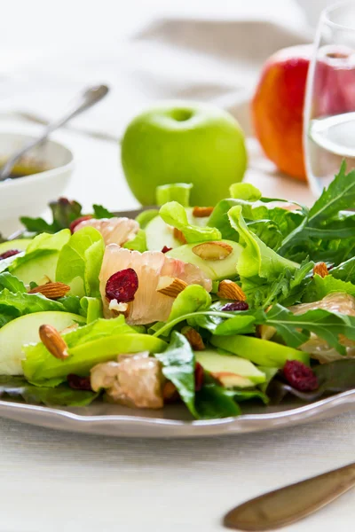 Äpple, grapefrukt och tranbär sallad — Stockfoto