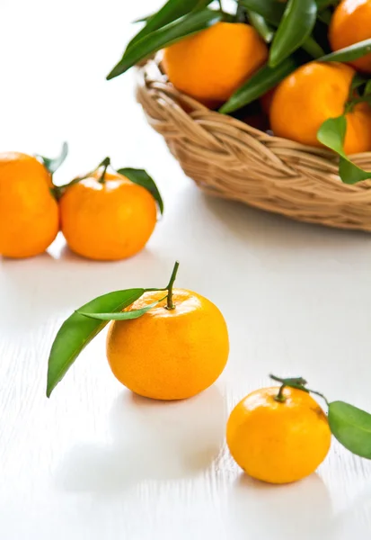 Oranges — Stock Photo, Image