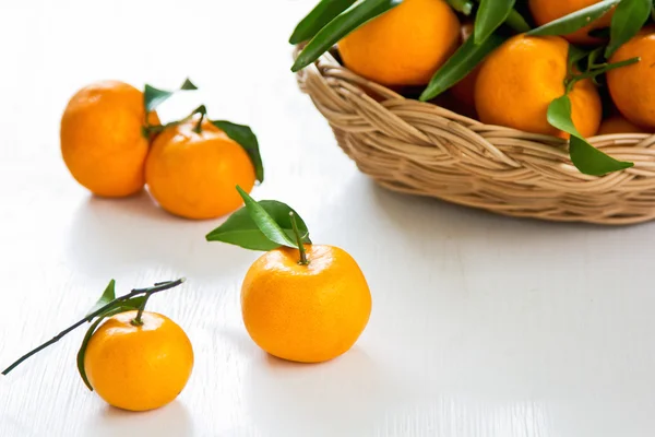 Oranges — Stock Photo, Image