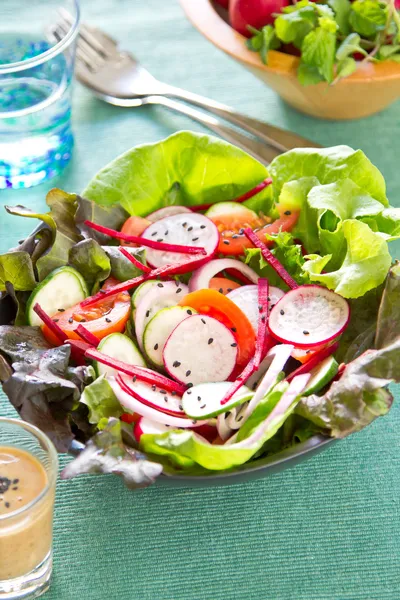 Salada de legumes com rabanete e gergelim preto — Fotografia de Stock