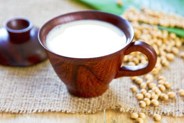 Soya Sütü