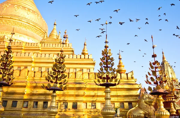 Shwezigon Pagoda — Stok fotoğraf