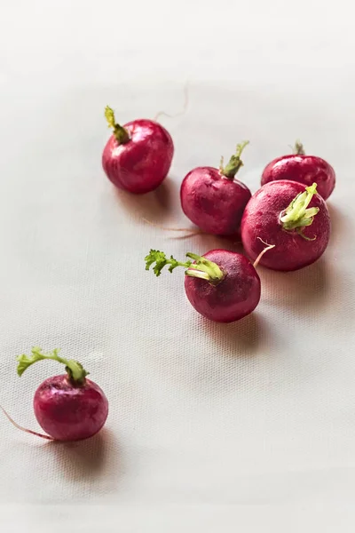 Rabanetes Frescos Sobre Fundo Rosa — Fotografia de Stock