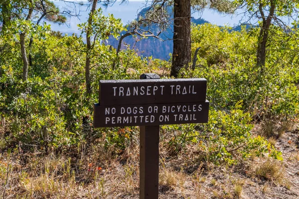 Glen Canyon Usa Ottobre 2020 Transept Trail — Foto Stock
