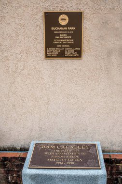 Seneca, SC, ABD - 31 Aralık 2020: Ram Kedi Sokağı