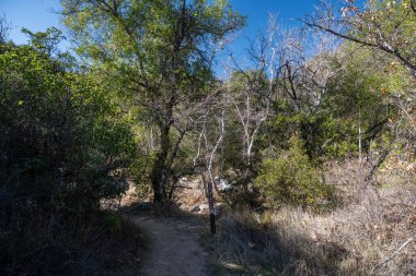 Korunaklı parkın izini sürerken manzaralı dağ manzarası