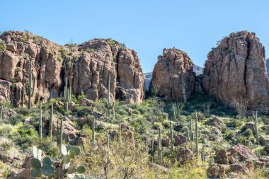 Koruma parkının yürüyüş izinden destansı dağ manzarası