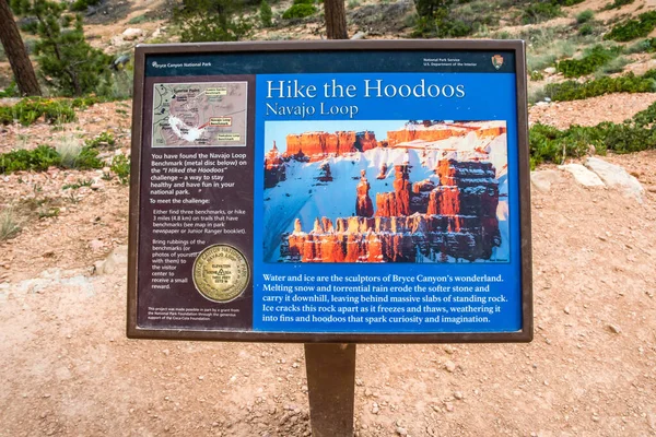 Brice Canyon アメリカ 2020年5月29日 Hike Hoodoos Navajo Loop — ストック写真