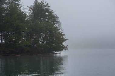 Güney Carolina, Keowee Gölü 'nde güzel bir göl parkı.