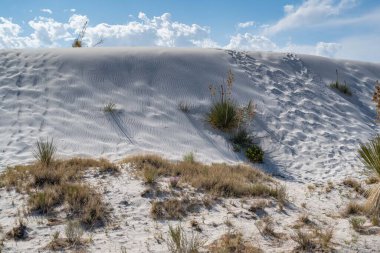 White Sands NP, New Mexico 'da doğaya güzel bir bakış açısı