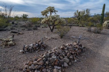 Tucson, Arizona 'da güzel bir doğa manzarası.