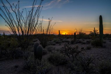 Tucson, Arizona 'da güzel bir doğa manzarası.