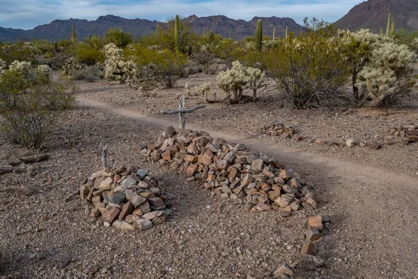 Krásný Výhled Přírodu Tucsonu Arizona — Stock fotografie