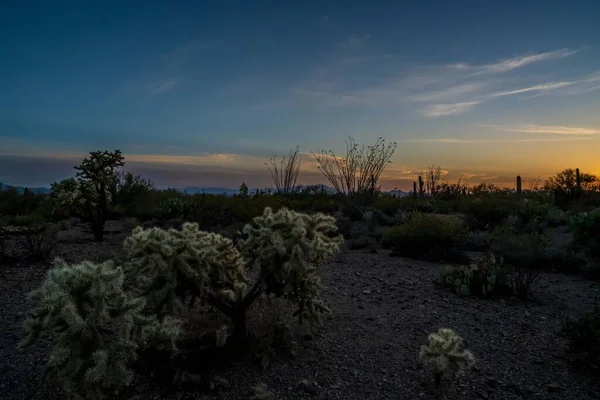 Een Prachtig Uitzicht Natuur Tucson Arizona — Stockfoto