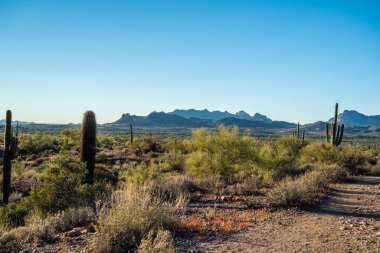 Koruma parkının yürüyüş izinden destansı dağ manzarası