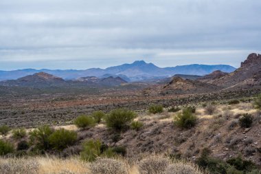 Koruma parkının yürüyüş izinden destansı dağ manzarası