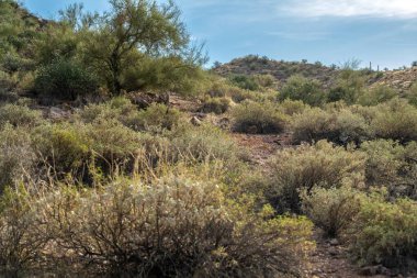 Arizona, Apaçi Kavşağı 'nda doğaya tepeden bakan bir bakış.