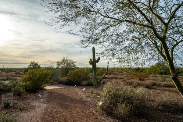 Arizona, Apaçi Kavşağı 'nda doğaya tepeden bakan bir bakış.